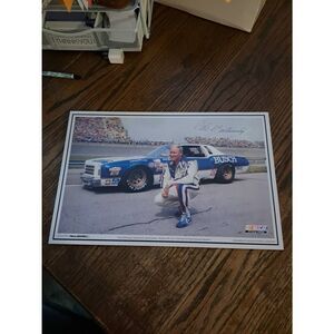 VINTAGE Cale Yarborough AUTOGRAPH NASCAR Grand Champion Poster 11x17 WINSTON